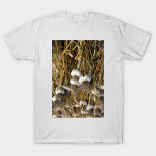 Hanging Garlic (vert) T-Shirt